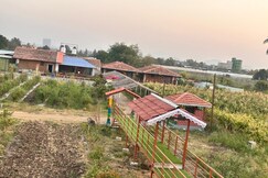 The Peepal mud homes
