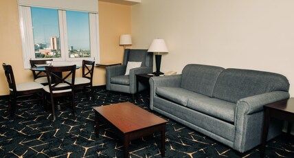Holiday Inn SAN SALVADOR Room Type - 1 King 1 Bedroom Suite