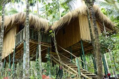 Greenways Treehut & Villas