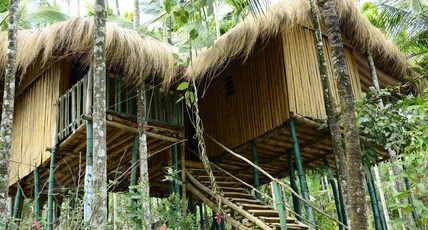 Greenways Treehut & Villas Room Type - Deluxe Room in a Tree House