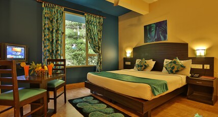 Misty Mountain Resort Room Type - Executive Room