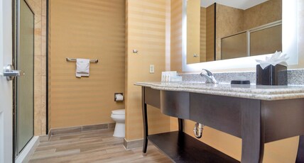 Hampton Inn & Suites Fort Worth-Fossil Creek Room Type - 1 KING SFBD FRG NS