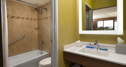 Holiday Inn Express AT MONTEREY BAY Room Type - 1 King Bed Standard