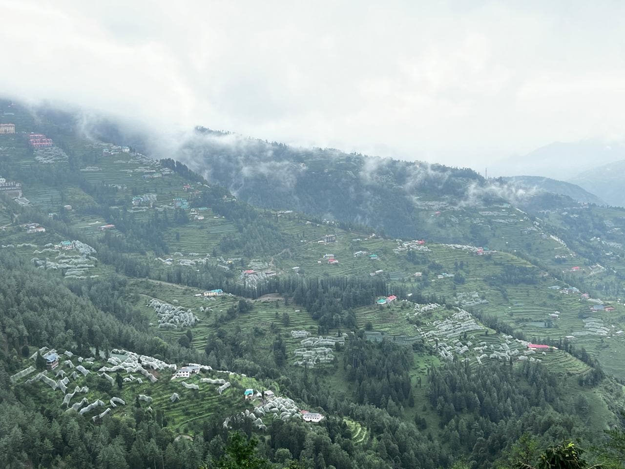 Treebo Fagu Peaks - Tap to explore photos