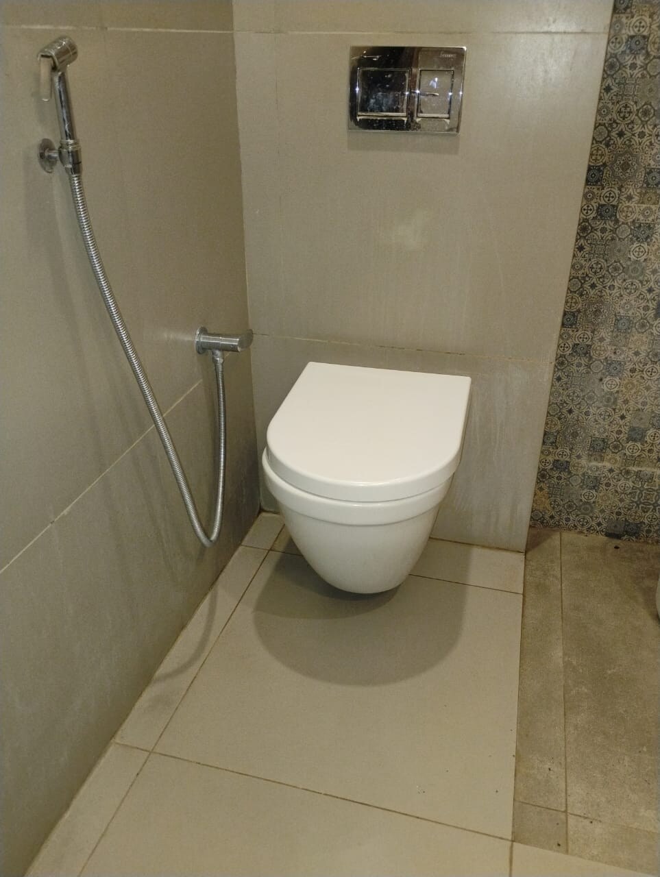 DOLPHIN - Tap to explore photos