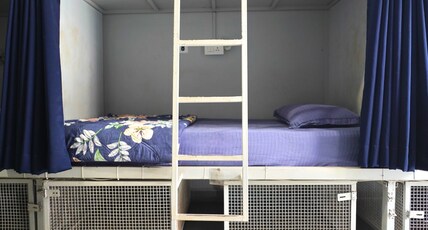 Pappi Chulo Hostel - Vagator Room Type - Mix Comfortable Premium dorm - 1