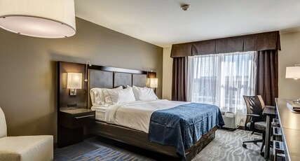 Holiday Inn Express St. Louis West - O'Fallon Room Type - 1 king Bed Standard