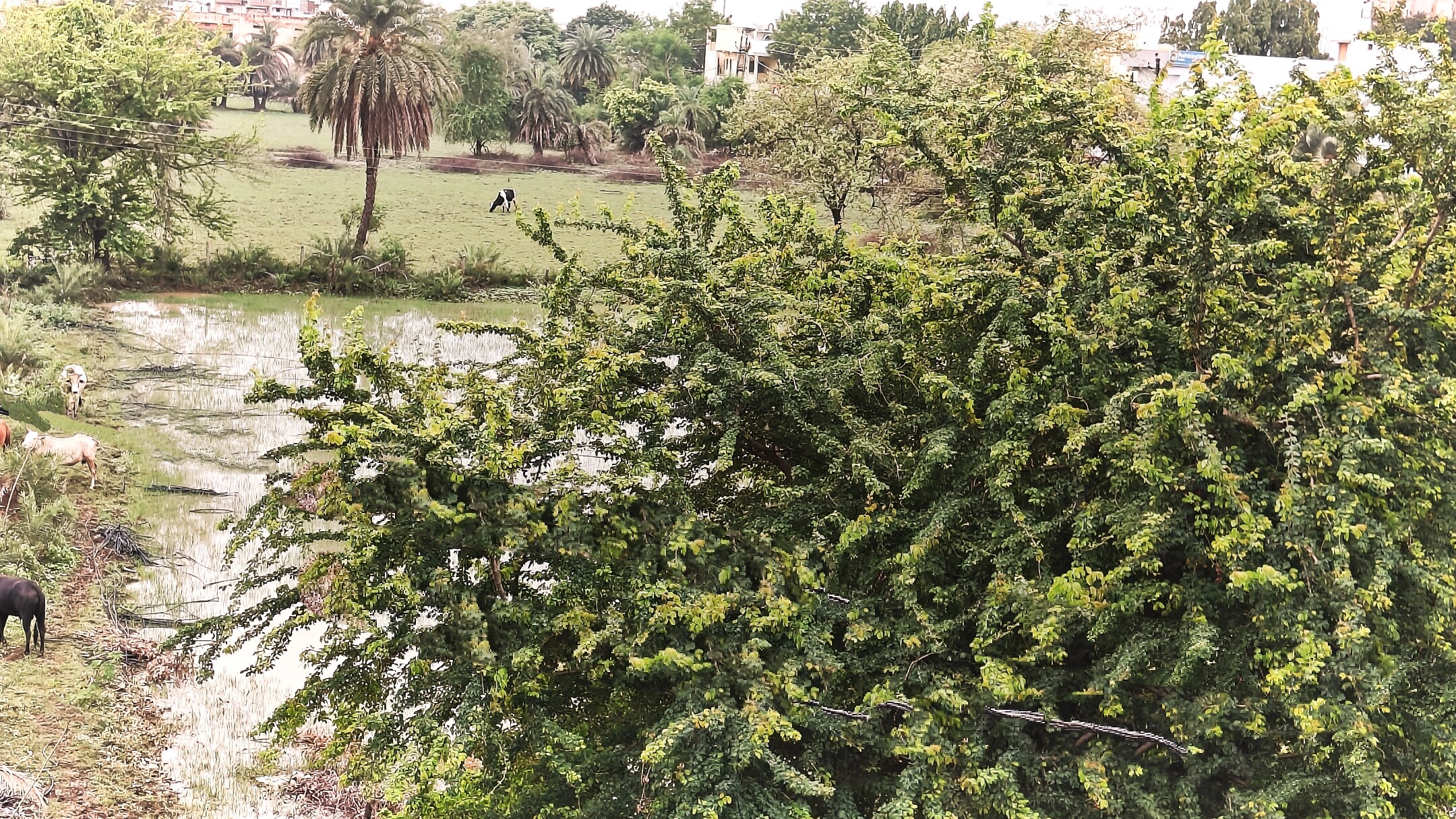 Hotel The Seven View - Tap to explore photos