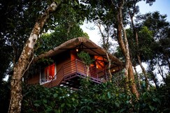 Photos of Coffee Cradle Wayanad Premium Tree House