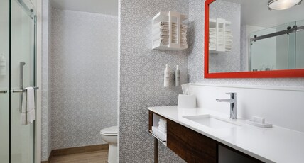 Hampton Inn Troy Room Type - 1 KNG ACC 3X3 SHOWER