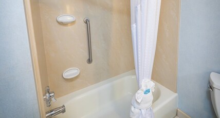 Holiday Inn Express Hotel & Suites Modesto-Salida Room Type - 1 King Bed Standard