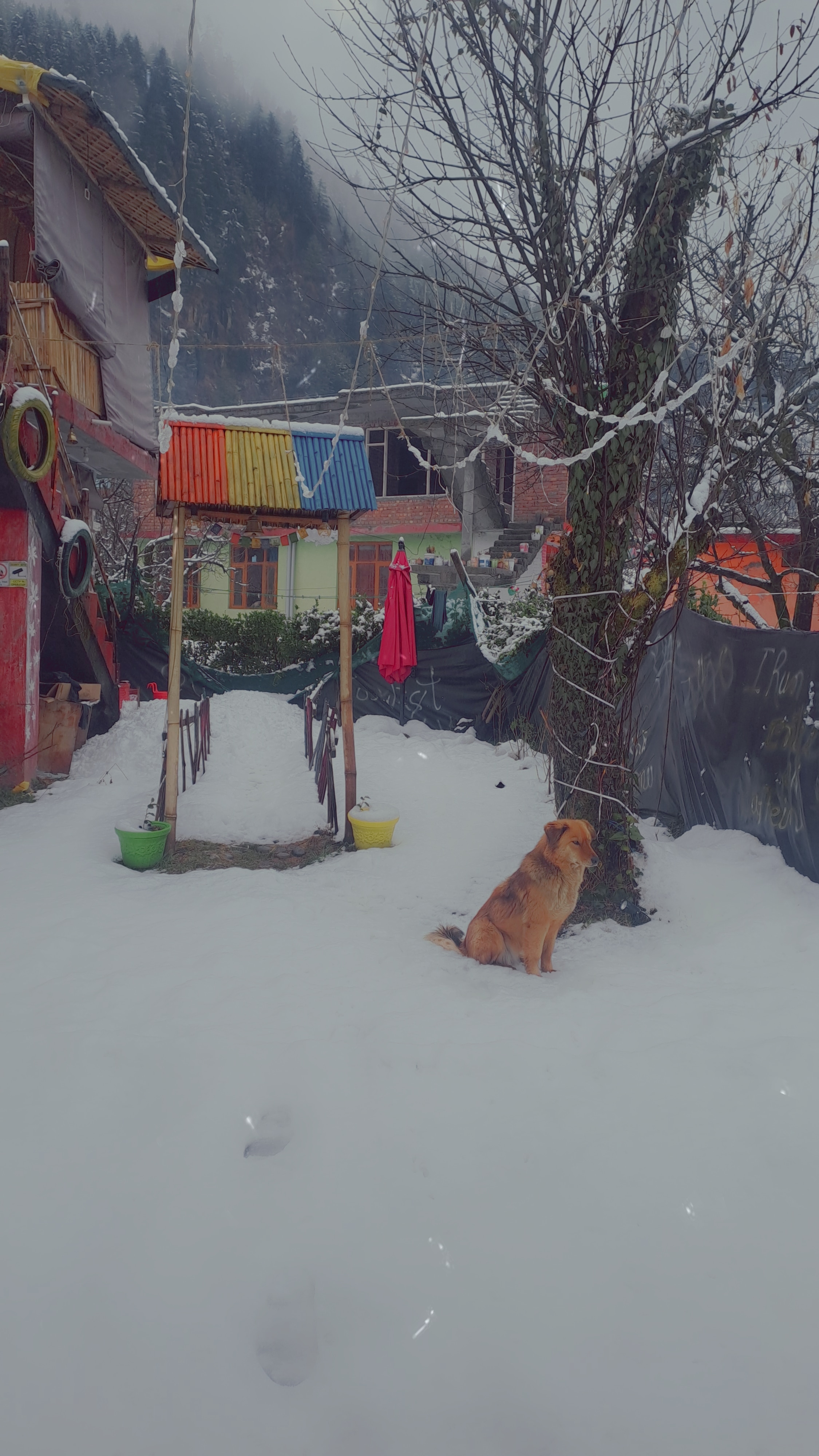 Atharva Satvik Homestay - Tap to explore photos