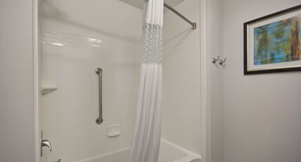 Hampton Inn by Hilton Kenedy Room Type - 2 QNS HEARING ACC NOSMOK
