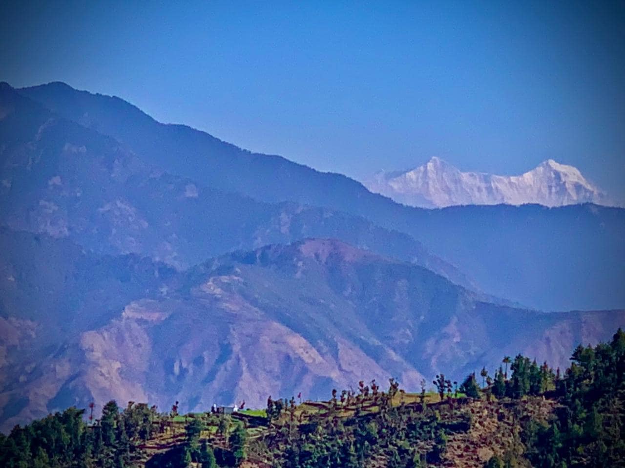 Mango Tree Courtyard Mussoorie - Tap to explore photos