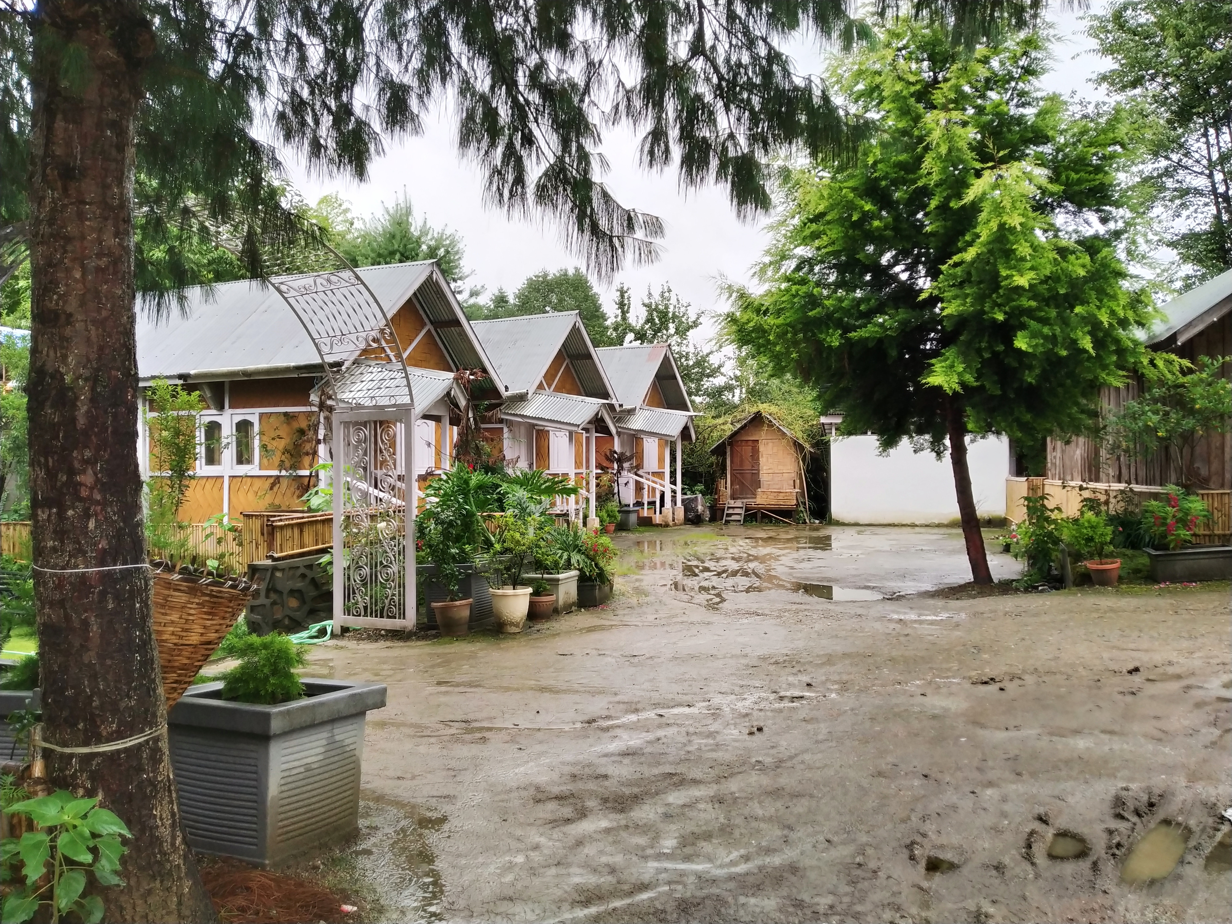 Ziro Valley Resorts - Tap to explore photos