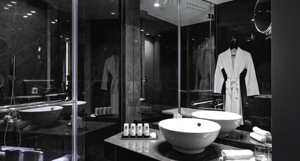Sofitel Athens Airport Room Type - LUXURY ROOM, 2 Single Beds