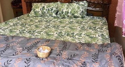 Manvitha homestay hampi Room Type - Deluxe  AC Room