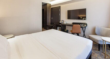 Mercure Bialystok Room Type - Standard Double Room with a double bed