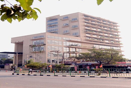 The Lily Hotel