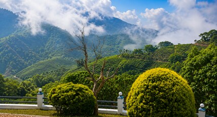 The Ridge Vagamon Private Villa Room Type - The Ridge Vagamon Private Villa