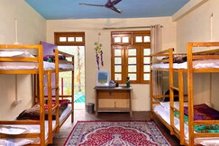 The Bird's Hostel | Mountain-view Rooms