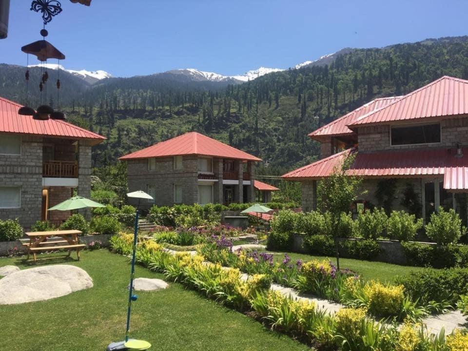 Amrit Manali - Tap to explore photos