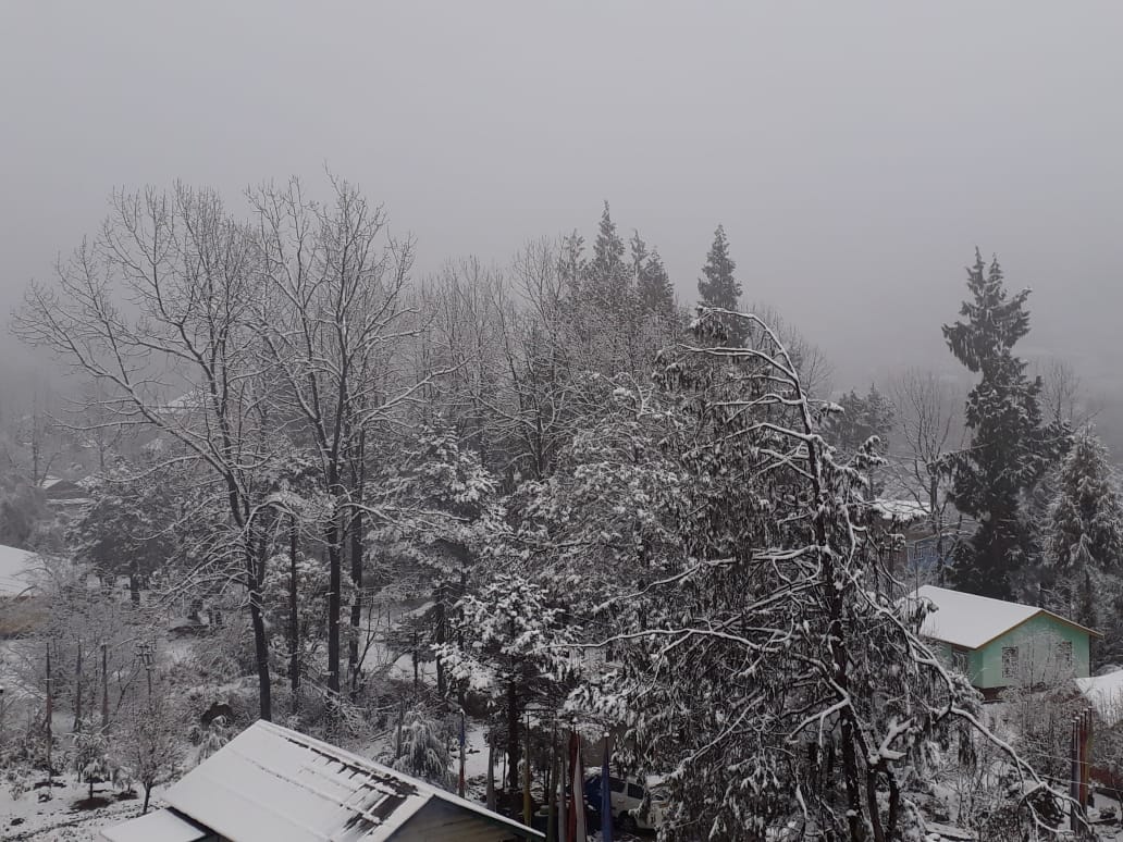 P D Regency  - Tap to explore photos