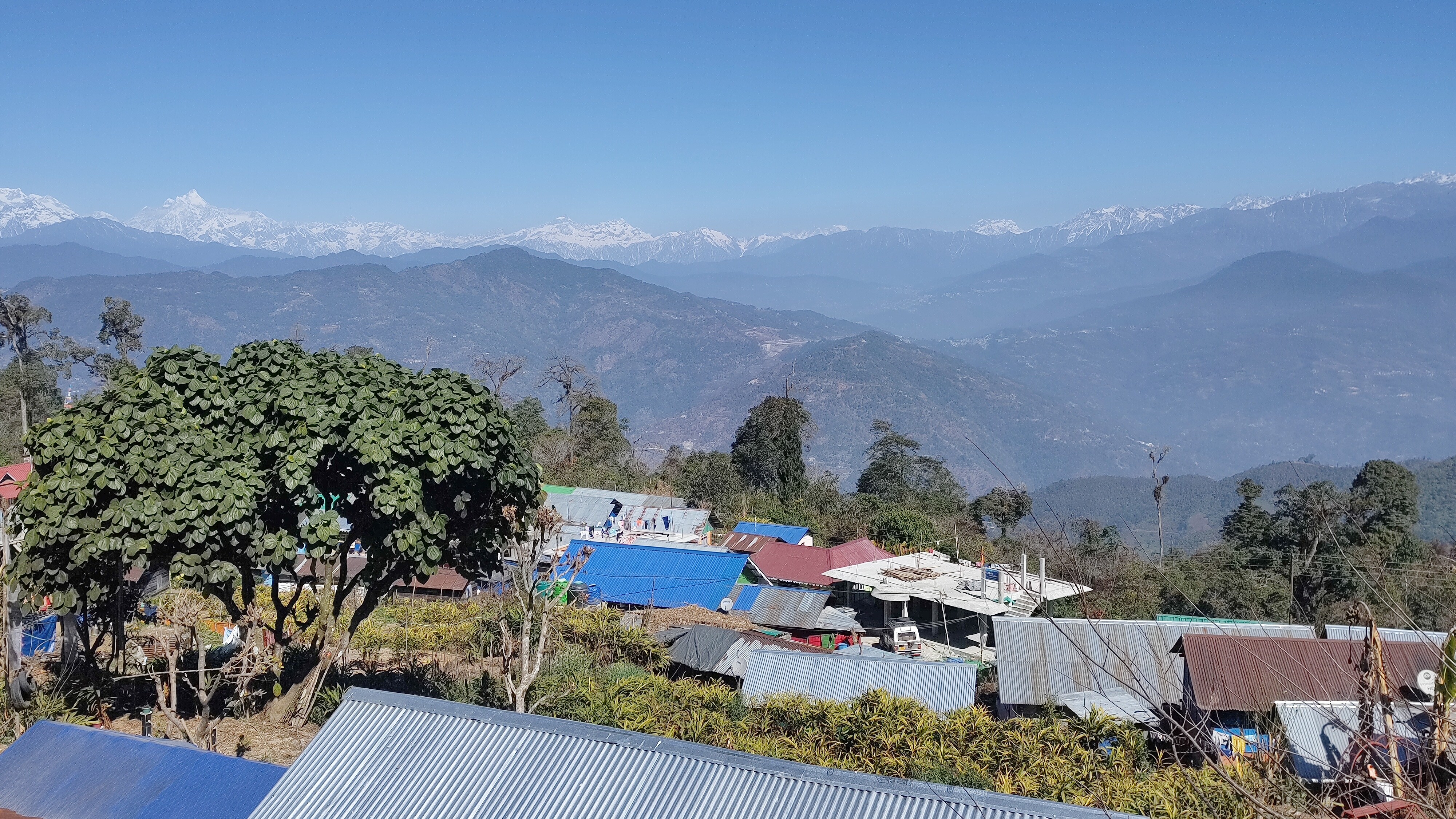 Blue Pancy Homestay - Tap to explore photos