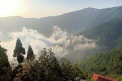 Address of PINES & PETALS HOMESTAY