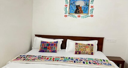 Hostel The Travellers Heaven Room Type - Standard Double Room