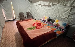Camps with Mountain View