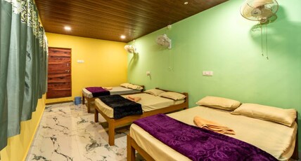 Dandeli Hill View Jungle Stay Room Type - Family Room