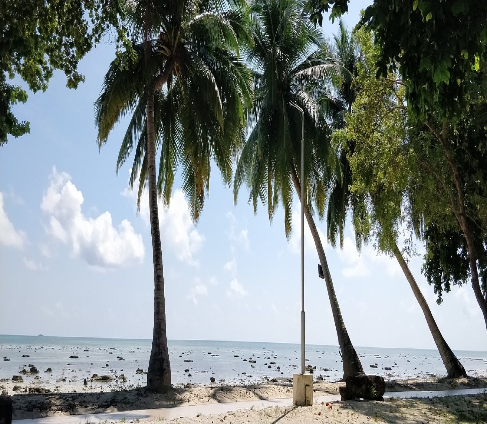 Dolphin Beach Resort - Tap to explore photos