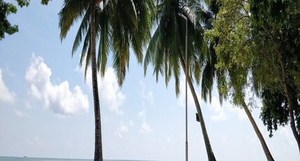 Dolphin Beach Resort Room Type - Standard Cottage