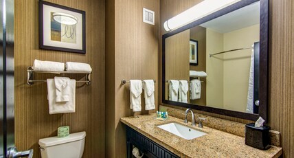 Holiday Inn ARLINGTON NE-RANGERS BALLPARK Room Type - 2 Queen Beds Standard