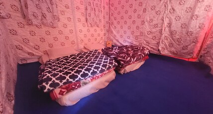 Trekogram Camp Jispa Room Type - Standard Tent