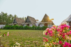 The Orchard Farm stay Cottage -1