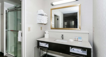 Hampton Inn & Suites Mobile- Downtown Historic District Room Type - 1 KING 1BDRM SUITE NONSMOK