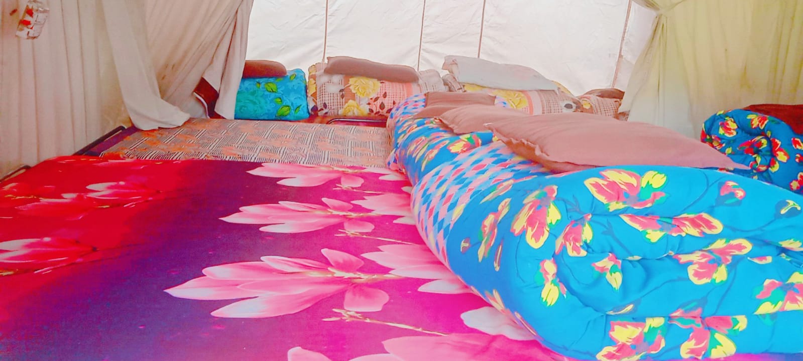 Zanskar Camping(Amarnath Yatra Base Camp) - Tap to explore photos