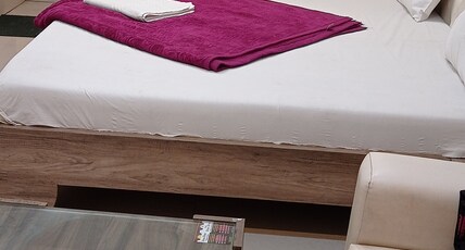 Hotel Shree Shine Room Type - Executive Room ac