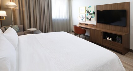 Holiday Inn NAVOJOA Room Type - 1 King Standard