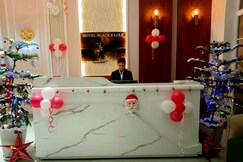 Hotel Black Eagle