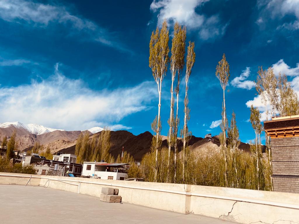 Hotel Hill Town - Tap to explore photos