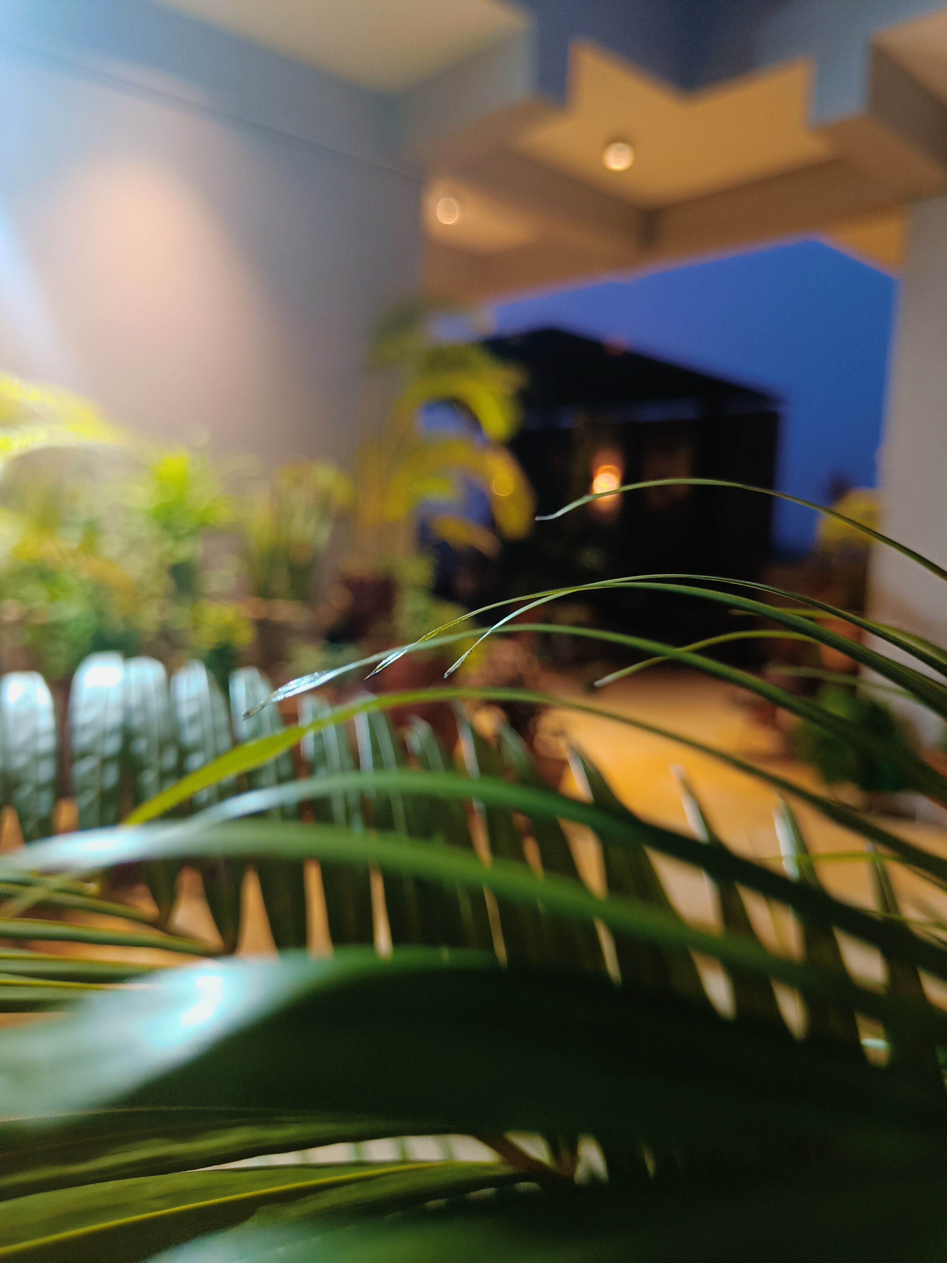 Shivana Goodu Homestay - Tap to explore photos