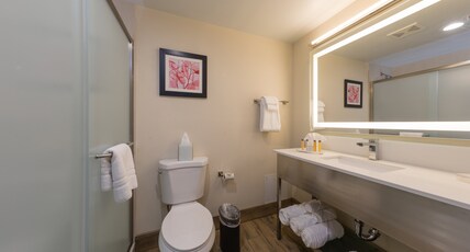 BROOKFIELD-MILWAUKEE HOTEL Room Type - 1 King Bed 1 Bedroom Suite