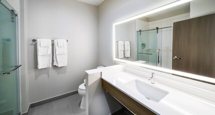 Holiday Inn Express & Suites HOUSTON SW - ROSENBERG Room Type - 1 King Bed Standard Comm Access