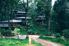 Ayatana, Coorg The Western Ghats