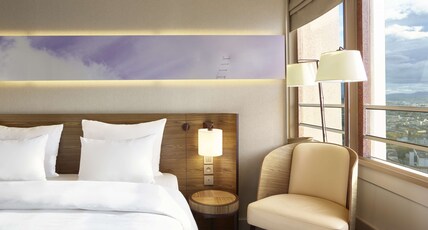 Radisson Blu Hotel Lyon Room Type - Premium Room9;