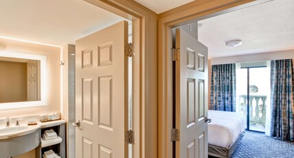 Embassy Suites Orlando - Downtown Room Type - 1KING LAKEVIEW BALCONY N S