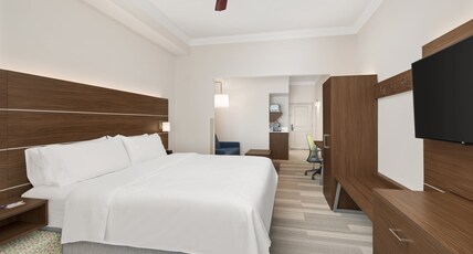 Holiday Inn Express & Suites BYRON Room Type - 1 King Bed Suite
